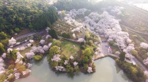 画像2: 観音ヶ池市民の森 観音茶屋  | いちき串木野市 お花見 ログハウス 森林浴 キャンプ BBQ ランチ